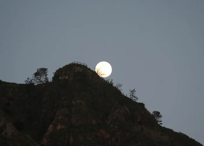 Apartament One Maktub *